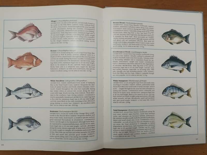 Everyone's Guide to the Sea Fishes of Southern Africa