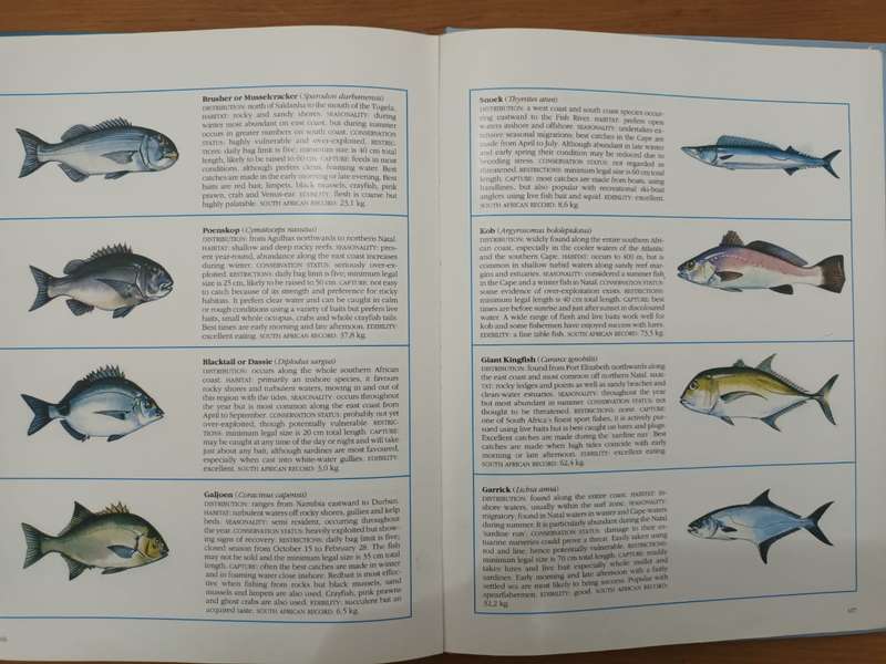 Everyone's Guide to the Sea Fishes of Southern Africa