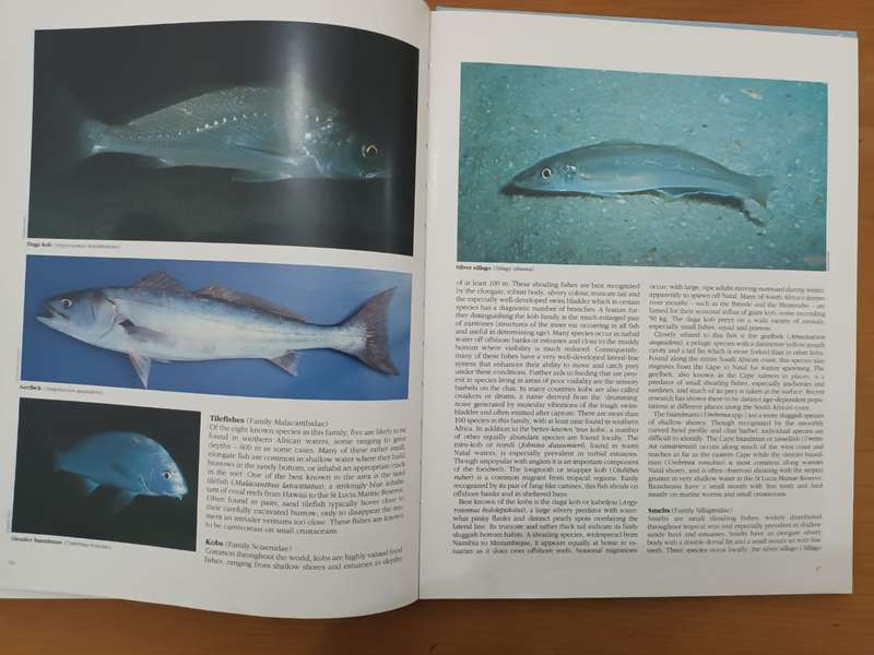 Everyone's Guide to the Sea Fishes of Southern Africa