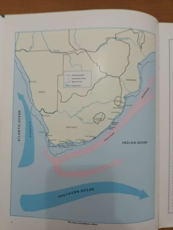 Everyone's Guide to the Sea Fishes of Southern Africa
