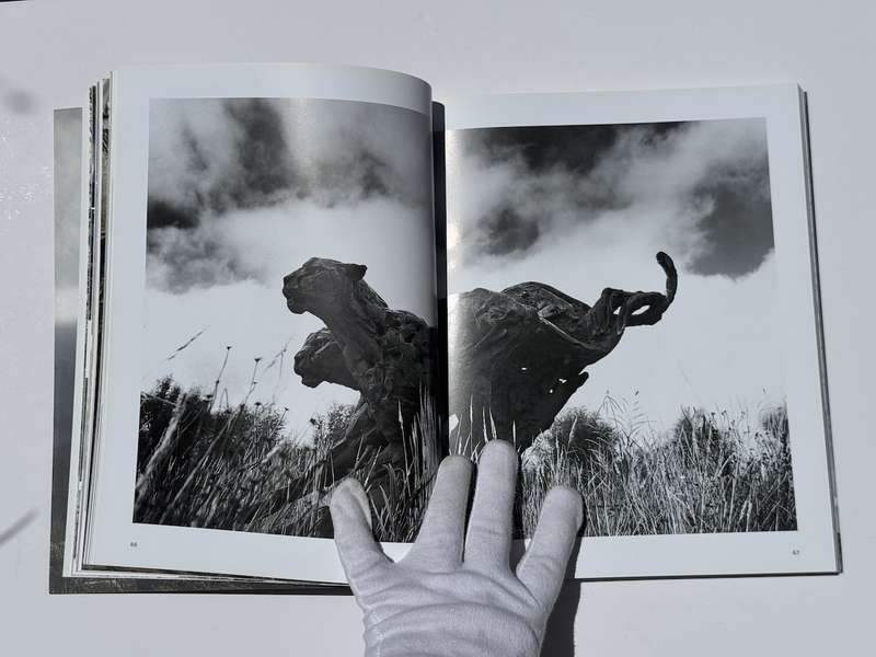 Dylan Lewis - An Untamed Force (Signed)