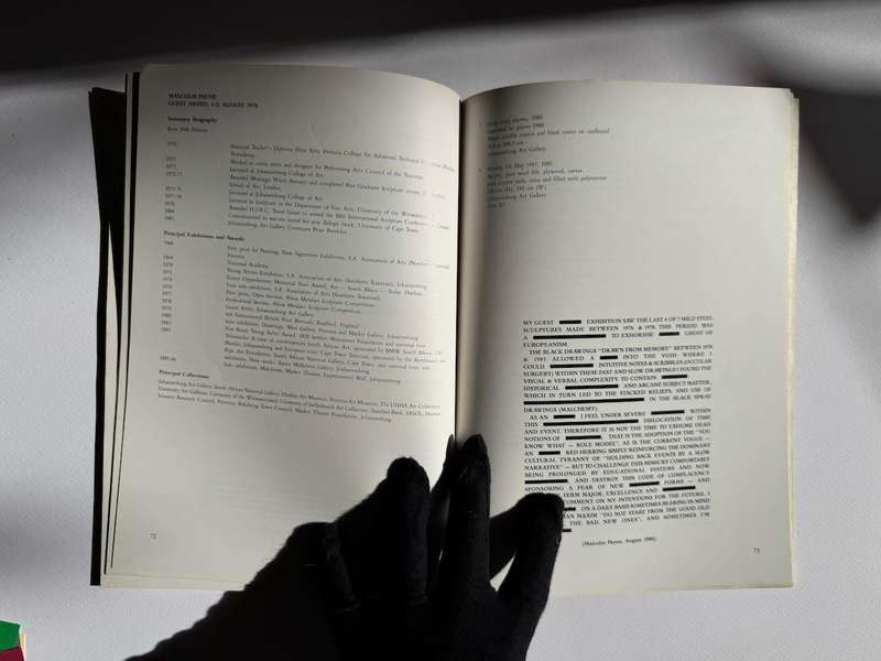 Johannesburg Art and Artists: Selections from a Century