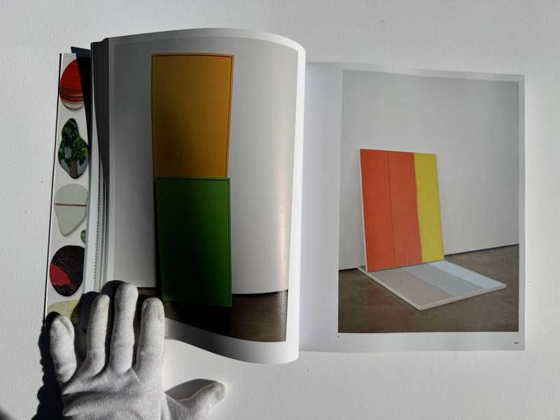 Vitamin P3: New Perspectives in Painting