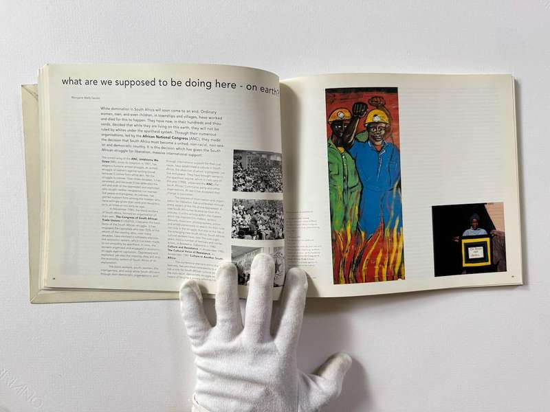 Standard Bank Young Artists 25: A Retrospective Exhibition