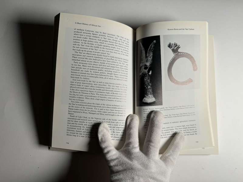 A Short History of African Art by Werner Gillon
