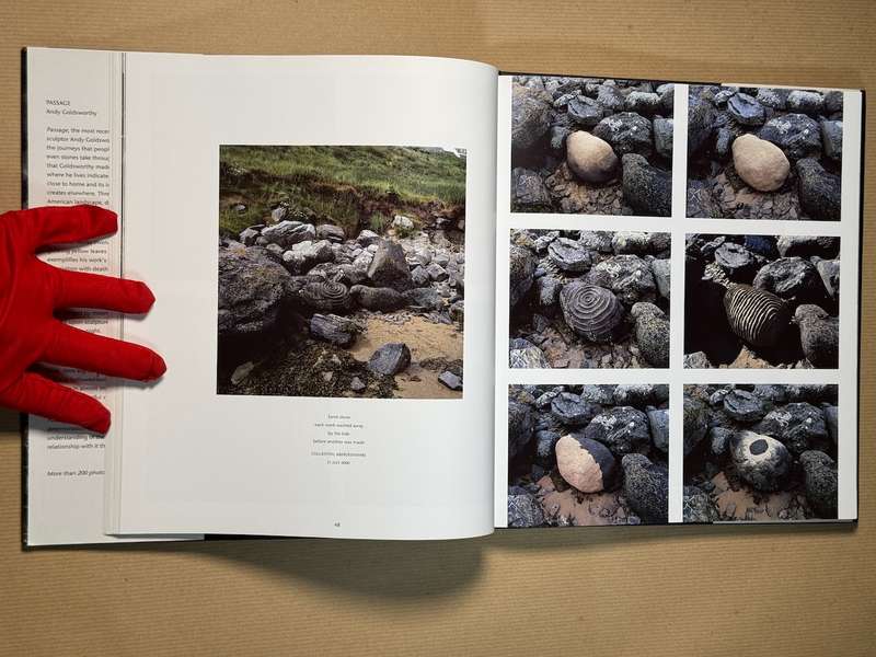 Andy Goldsworthy: Passage