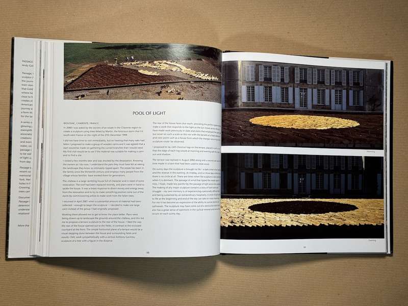 Andy Goldsworthy: Passage