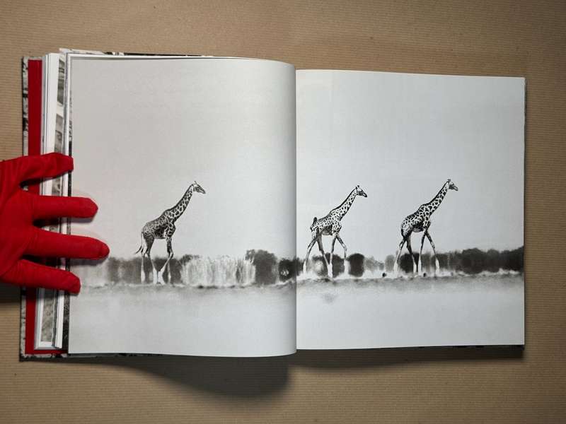 Peter Beard: The End of the Game