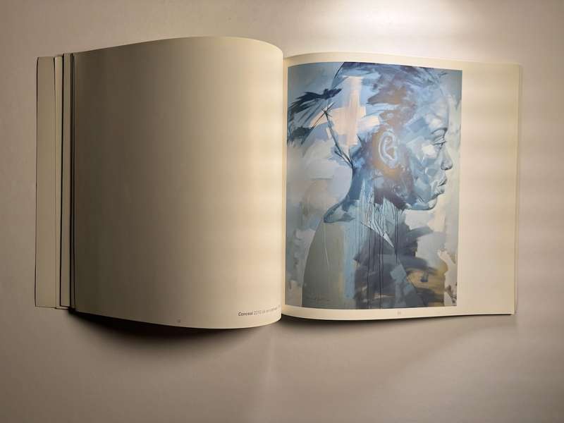 Lionel Smit: Submerge