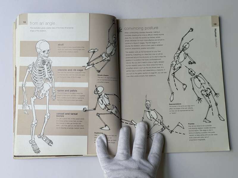 Anatomy for Fantasy Artists