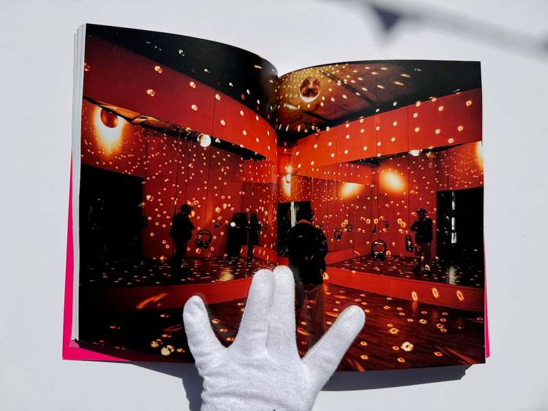 Frances Goodman: Through the Glass, Sparkling