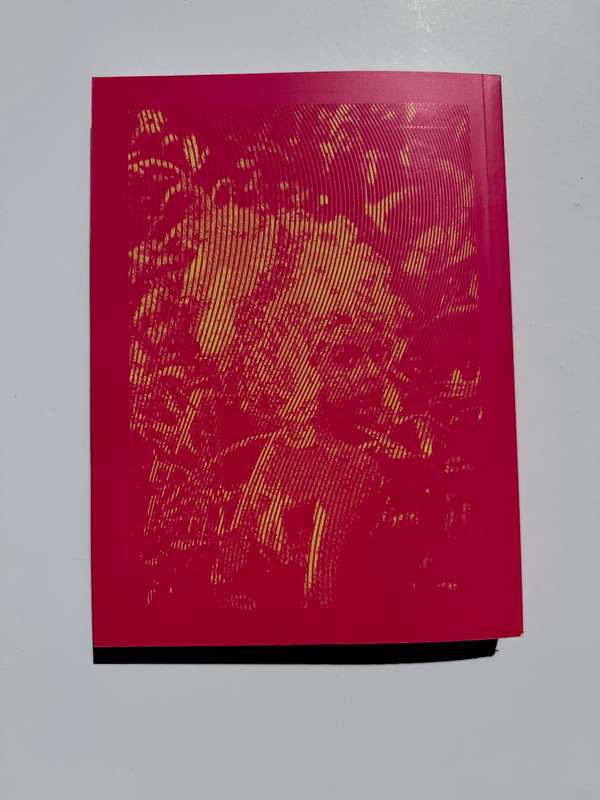 Frances Goodman: Through the Glass, Sparkling