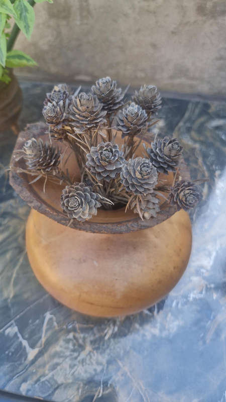 Antique / Vintage Wooden Vase