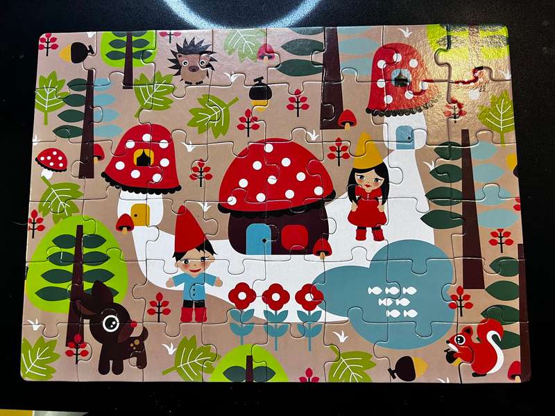 48 Piece Gnome puzzle