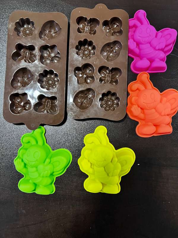 silicone soap moulds  (bugs)