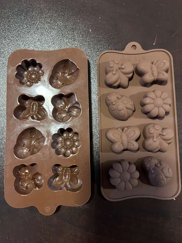 silicone soap moulds  (bugs)