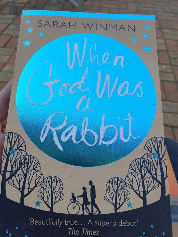 When God was a Rabbit - Sarah Winman