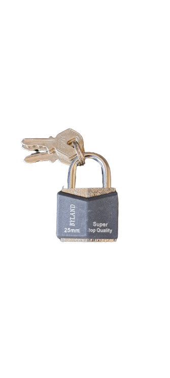 Travel Combo - Luggage tags Set of 2 plus 2 locks