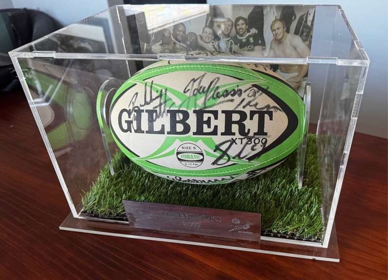 Springbok Signed Rugby Ball in Display Case
