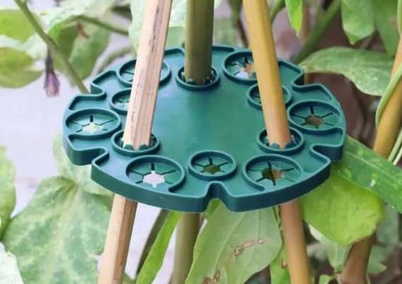 Bamboo Stick Holder Green Plastic EA