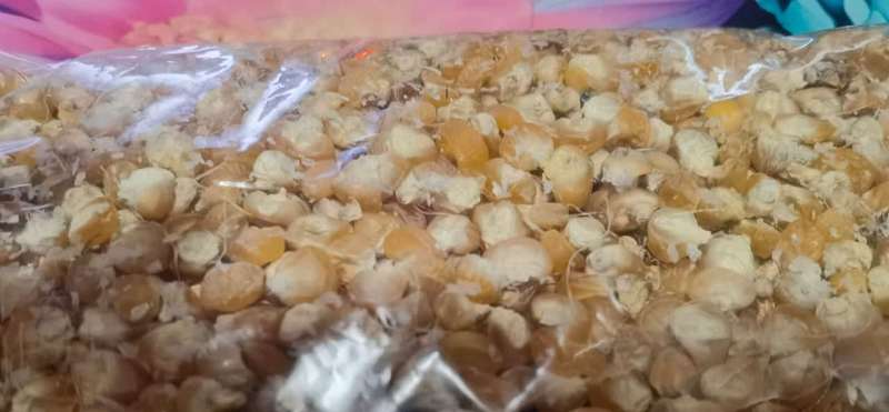 Corn Golden Bantam Sweetcorn Organic Bulk (500ml +- 3000 Seeds)