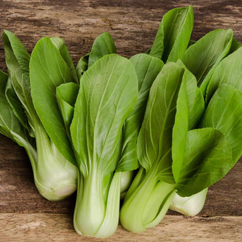 Pak Choi Dwarf (0.6ml - Approximately 100 Seeds)