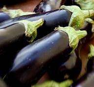 Brinjal Florida Market (Eggplant) (10 Seeds)