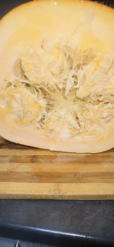 Giant Pumpkin White Seeded (10 Seeds) - Limited Stock