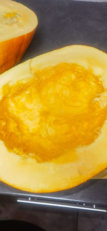 Giant Pumpkin White Seeded (10 Seeds) - Limited Stock