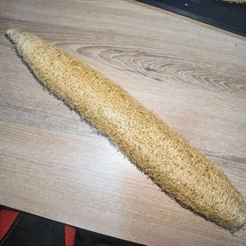 Loofa Sponge Organic - 38cm Long