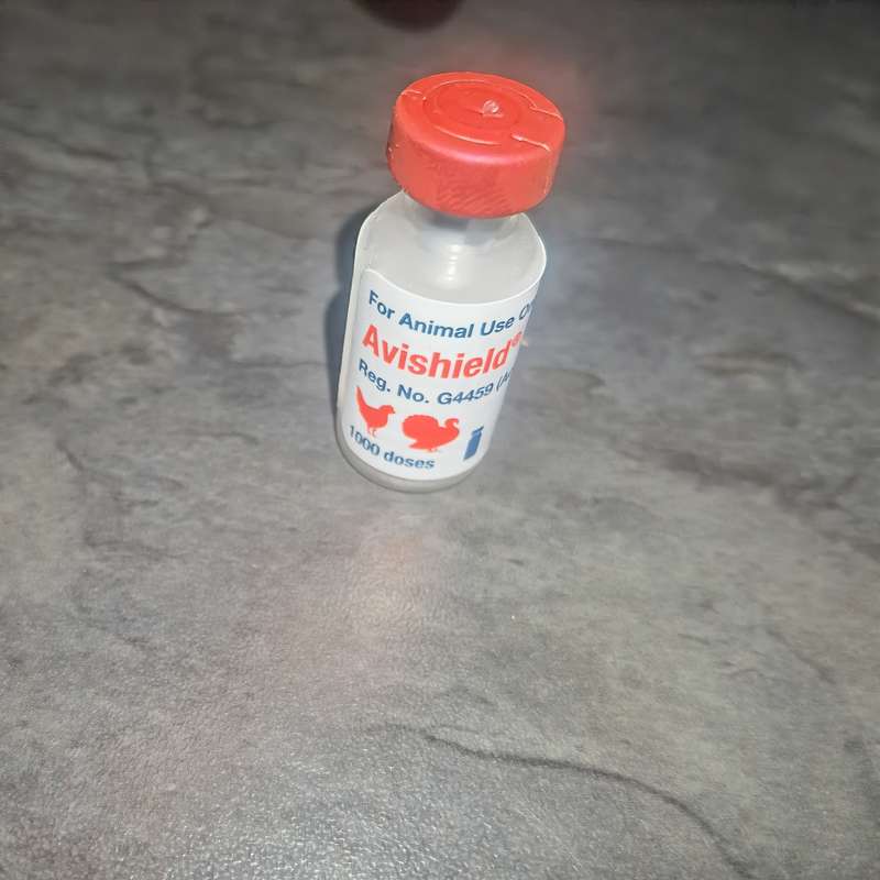 Avishield Vaccine ND (1000 Dose)