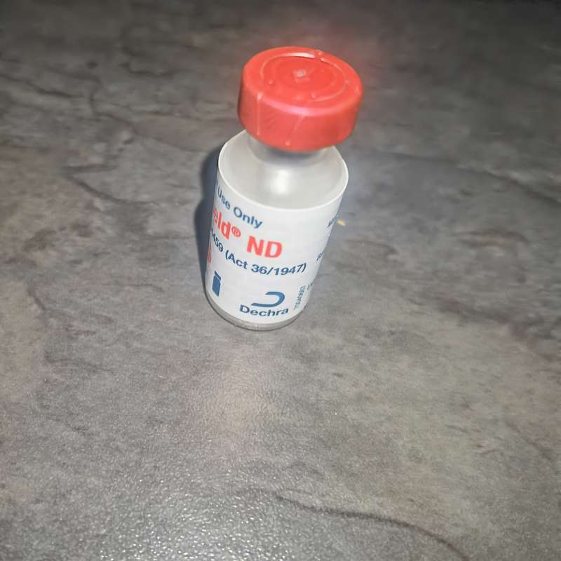 Avishield Vaccine ND (1000 Dose)
