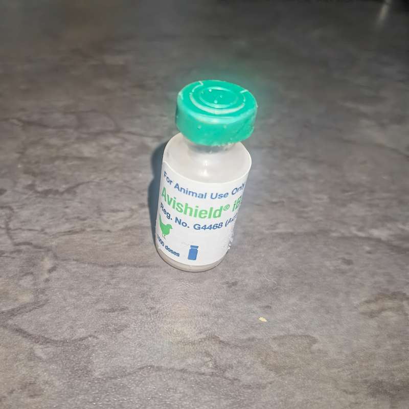Avieshield Vaccine IB H120 (1000 Dose)