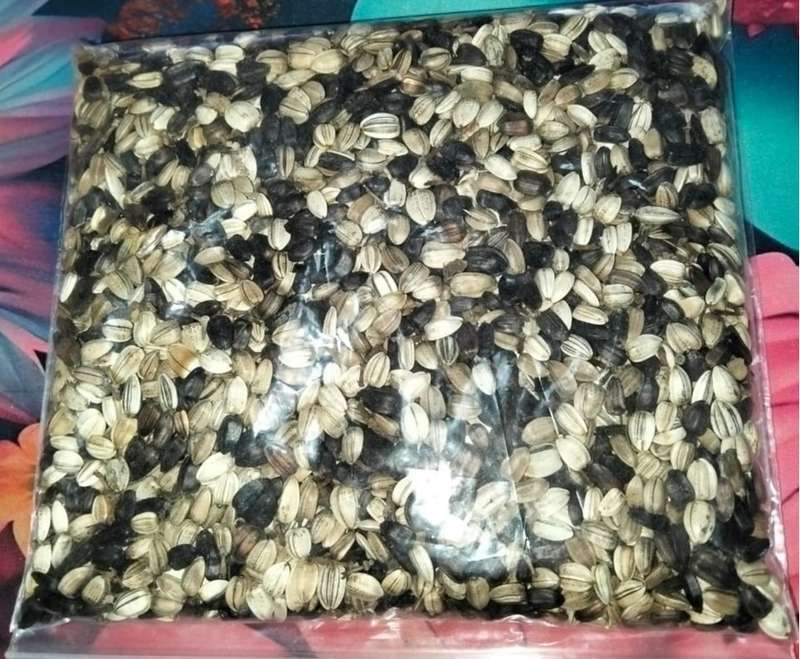 Giant Sunflower Mix Black Nigerian and Black & White Seeded (500ml -Approx. 4000 Seeds)