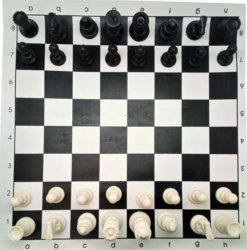 Chess Set - Vinyl in carry case