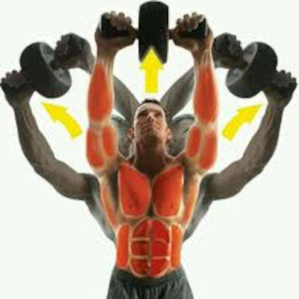 Ab Wheel  - Total ab workout