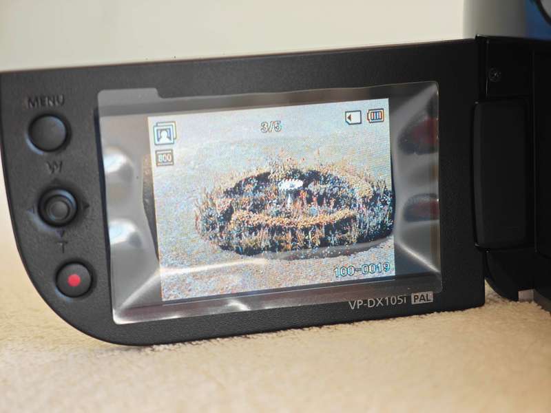 Samsung VP-DX105i PAL 34x Zoom DVD/SDHC Camcorder