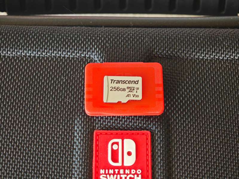 Nintendo Switch Carrying Case + 256GB Micro SD Card