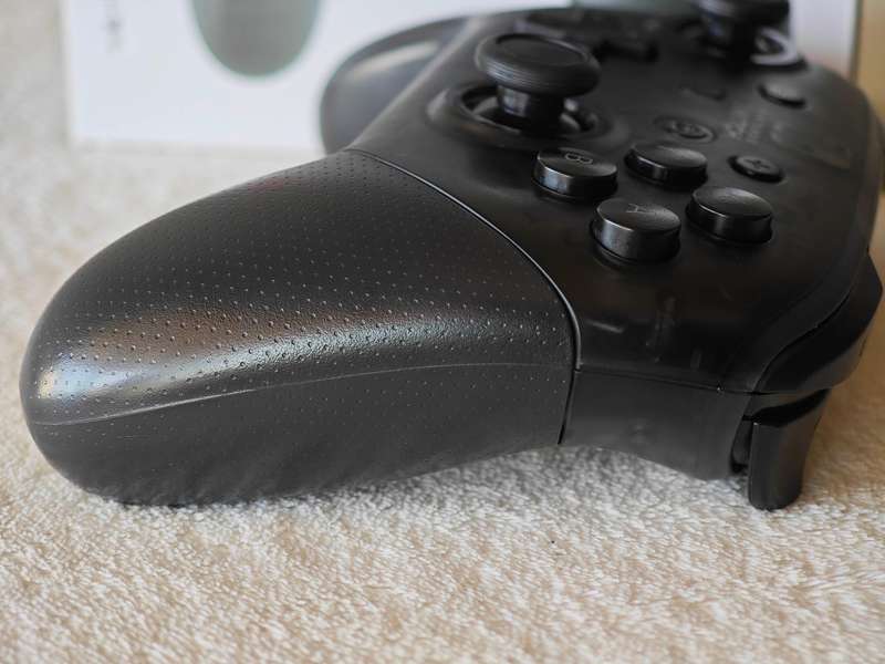 Nintendo Switch Pro Controller