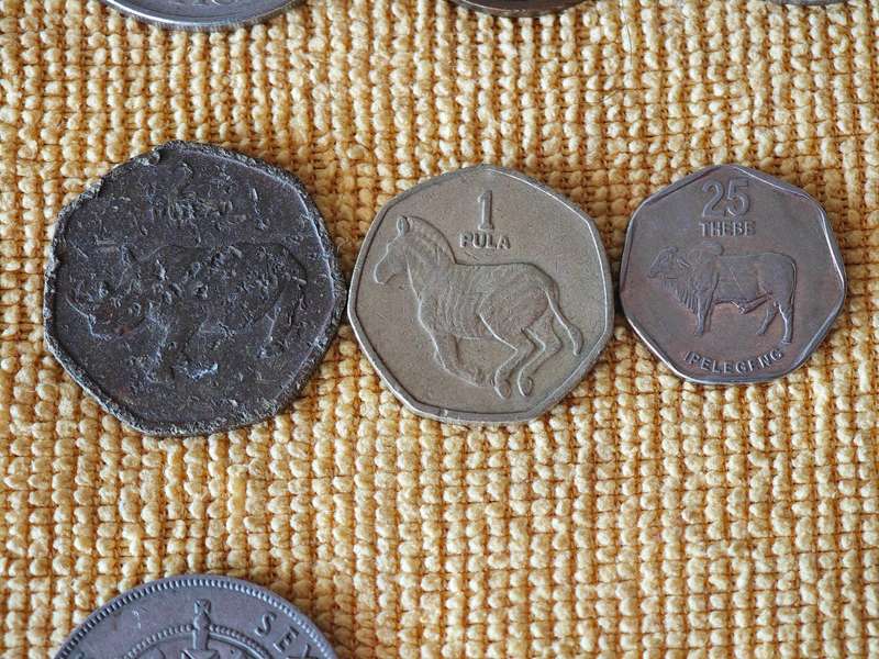 Various African Coins + 1 Banknote (12 coins total)