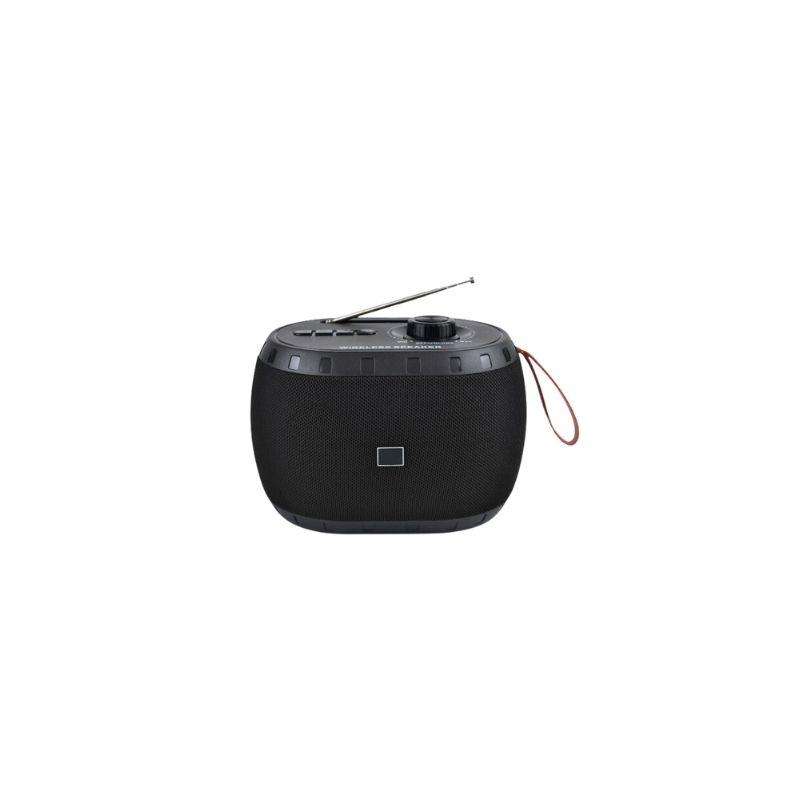 Ecco Portable Radio EC2361
