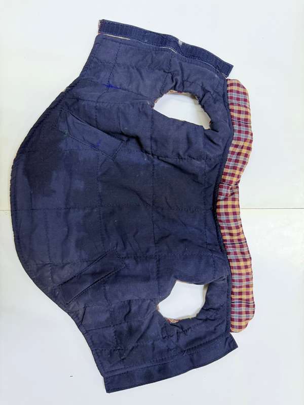 Dog jacket