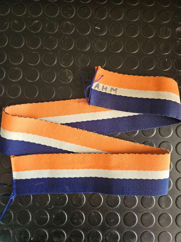 Armour Stable belt belting