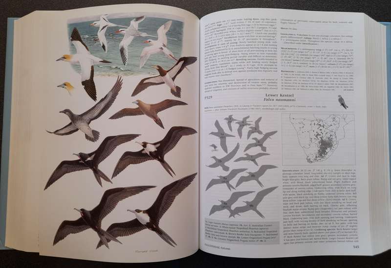 Roberts Birds of Southern Africa, 7th ed by PAR Hockey, WRJ Dean, PG Ryan - Like New