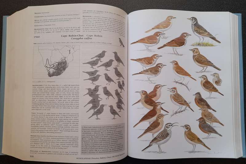 Roberts Birds of Southern Africa, 7th ed by PAR Hockey, WRJ Dean, PG Ryan - Like New
