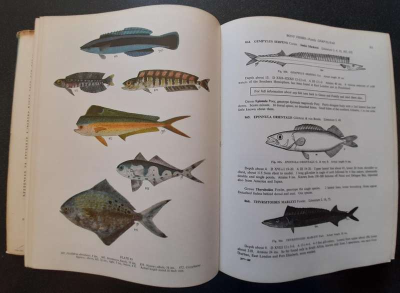 The sea fishes of Southern Africa, Professor J. L. B. Smith 1965, Reprint Revised Enlarged Edition