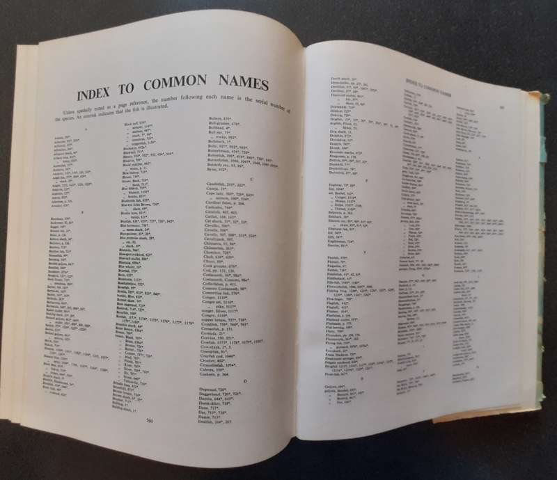 The sea fishes of Southern Africa, Professor J. L. B. Smith 1965, Reprint Revised Enlarged Edition