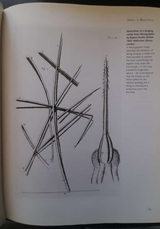 The art of small things, John Mack, Published by BRITISH MUSEUM, 2007
