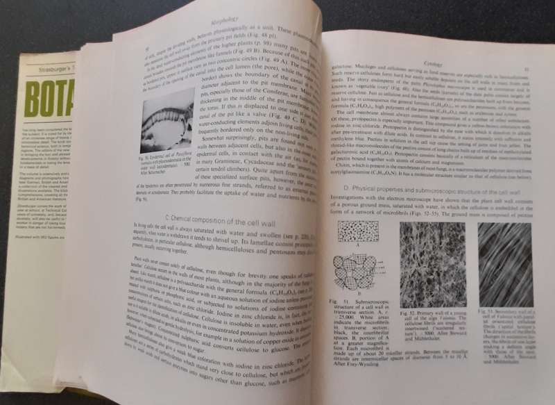 Strasburger's Textbook of Botany 1967