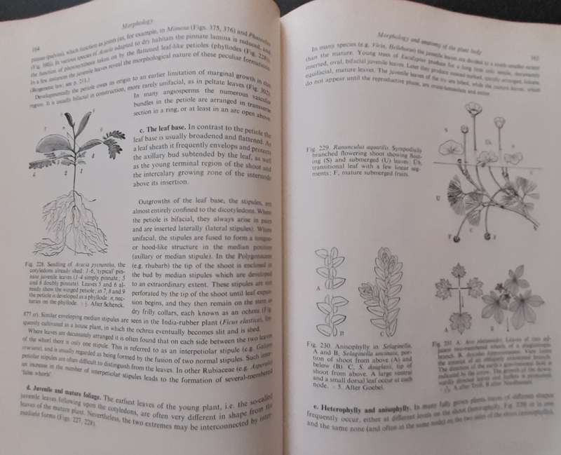 Strasburger's Textbook of Botany 1967